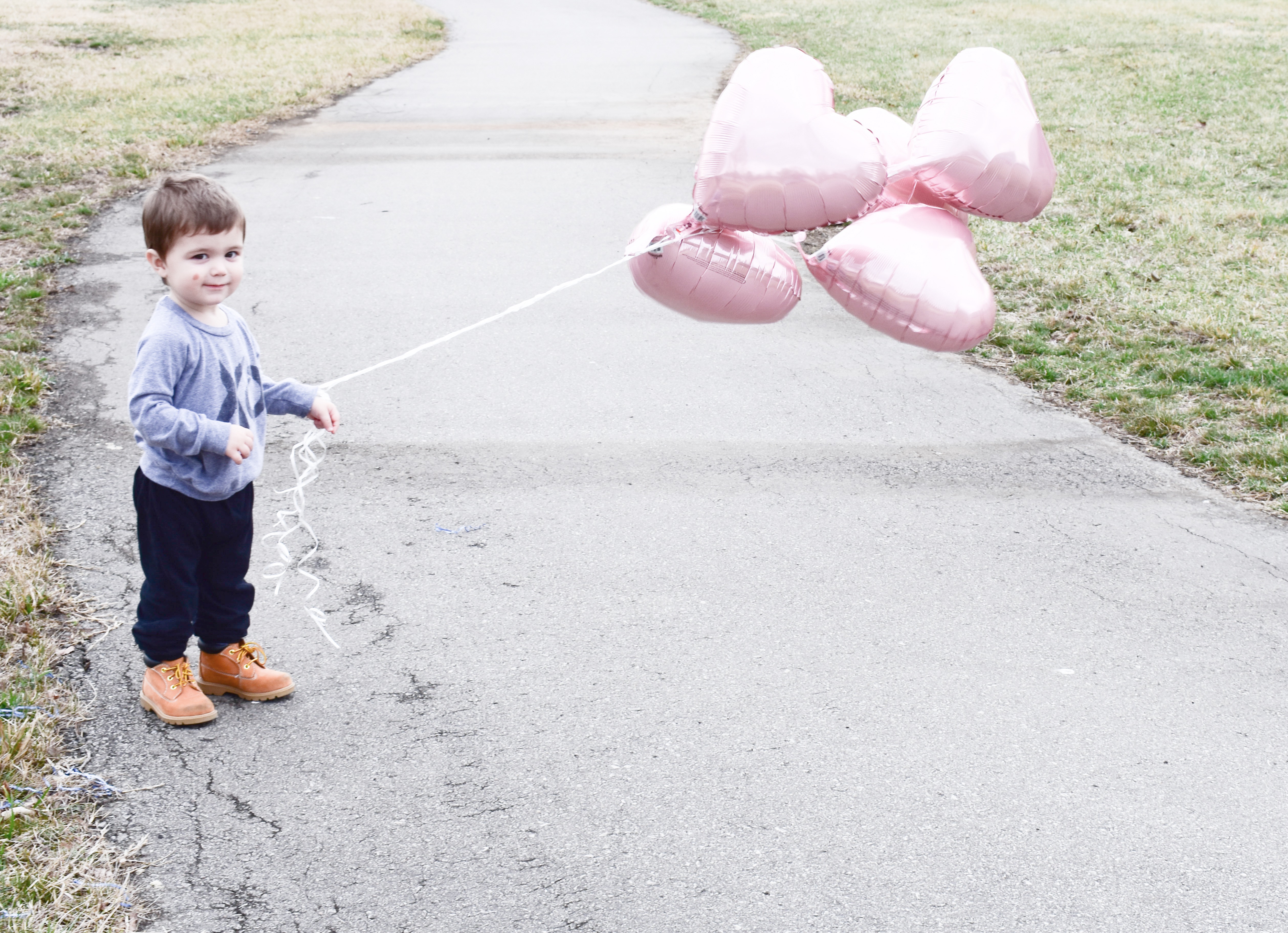 Second Baby Gender Reveal with Big Sibling