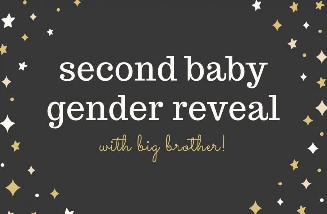 Second Baby Gender Reveal with Big Sibling