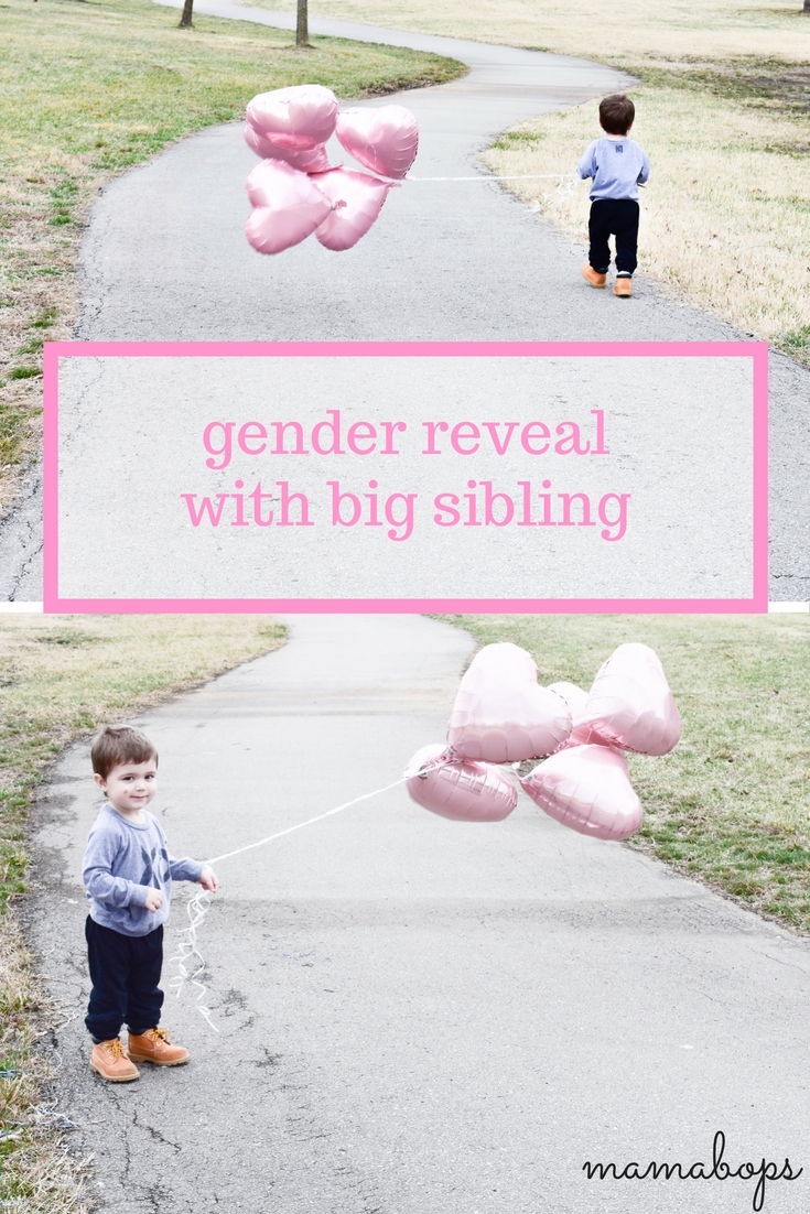 Second Baby Gender Reveal with Big Sibling