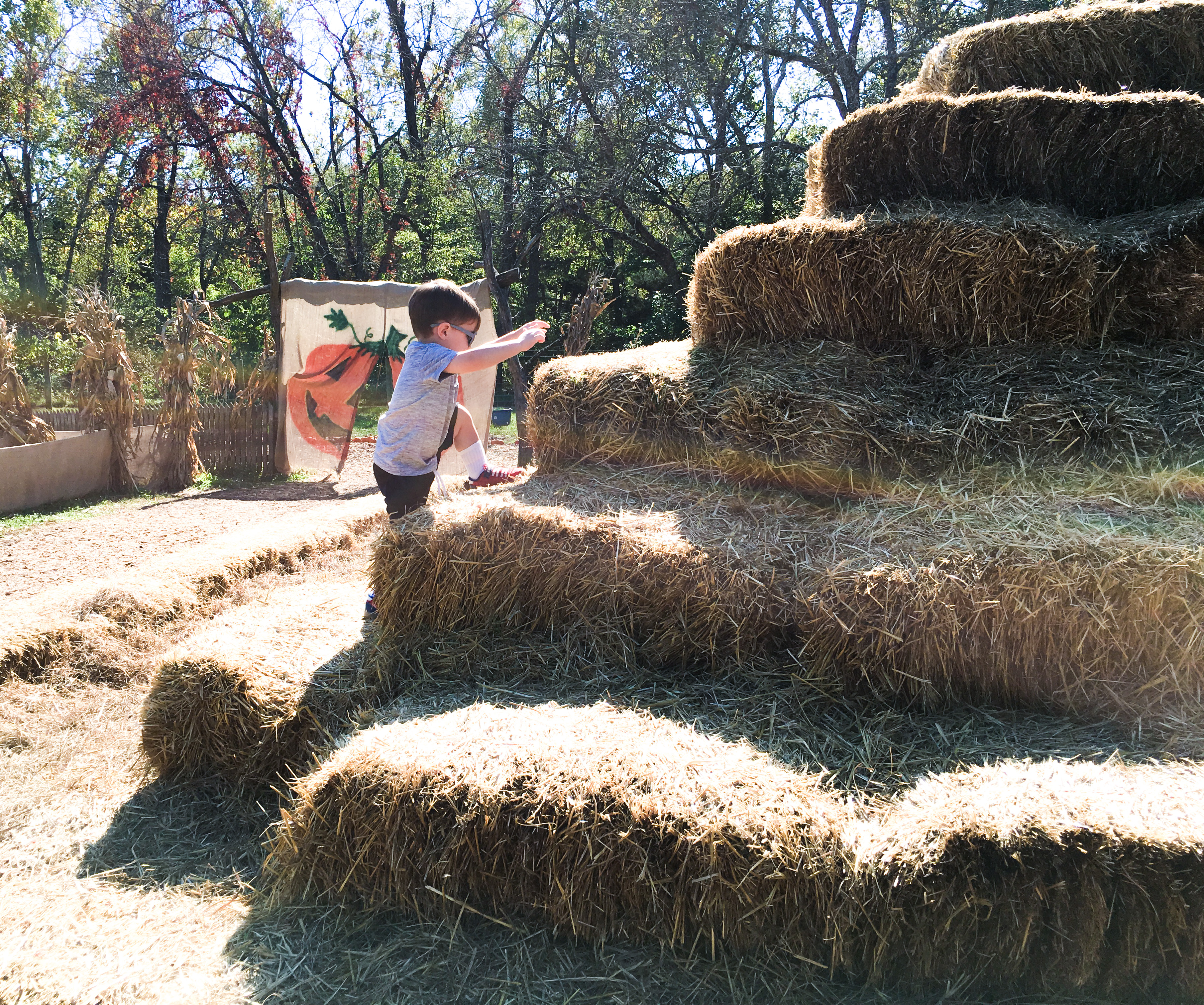 Fall Family Fun at Pumpkin Patch