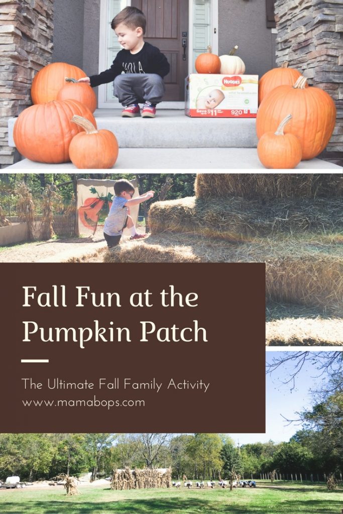 Fall Family Fun at Pumpkin Patch