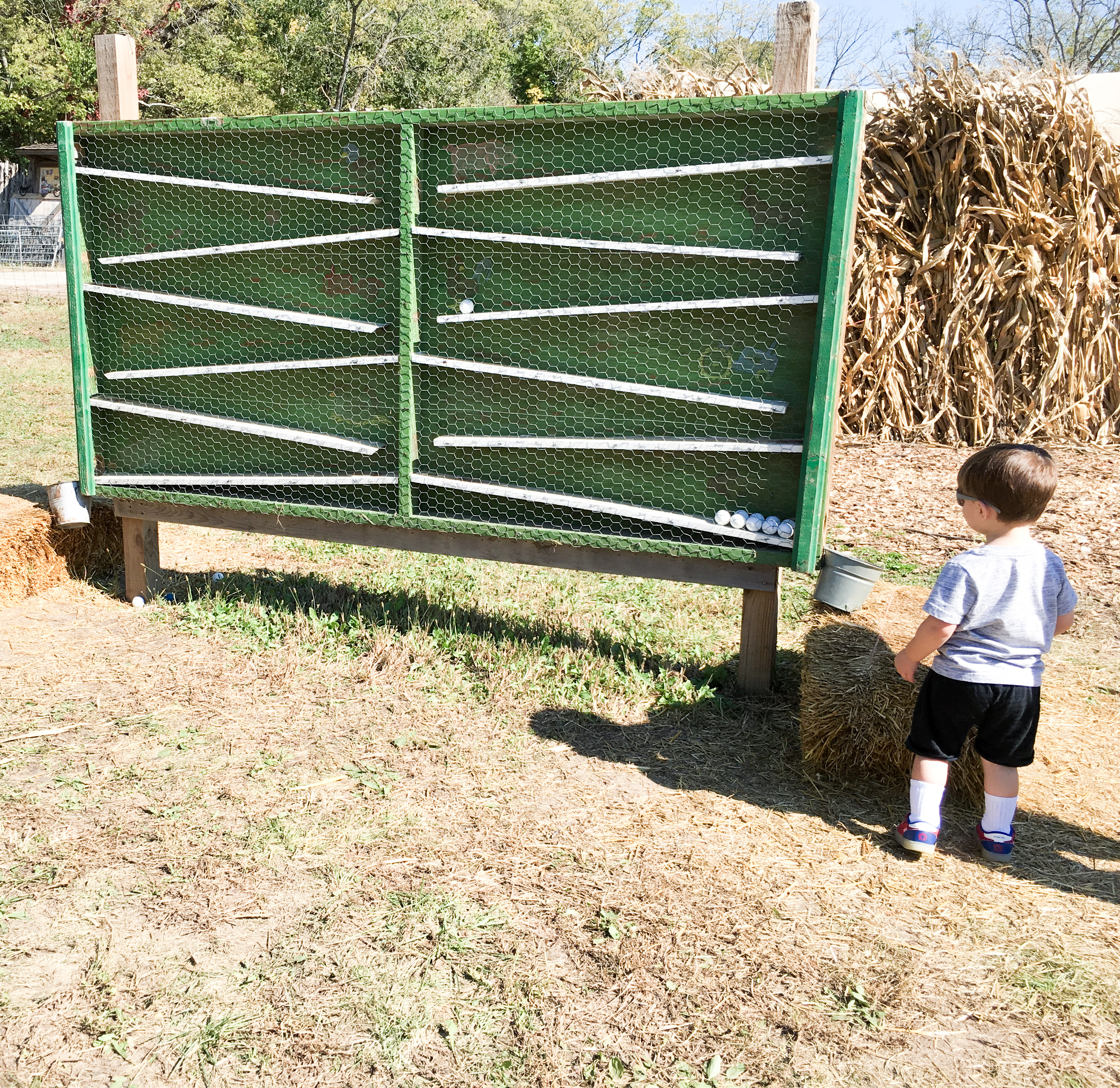 Fall Family Fun at Pumpkin Patch