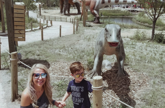 This place looks amazing! Field Station Dinosaurs is perfect if you're looking for family activities in Wichita, KS. This dinosaur park is one of the most popular kid-friendly activities in Derby, Kansas. Here's a real mom's review of Field Station Dinosaurs, so you can decide if it's worth the trip for your family.