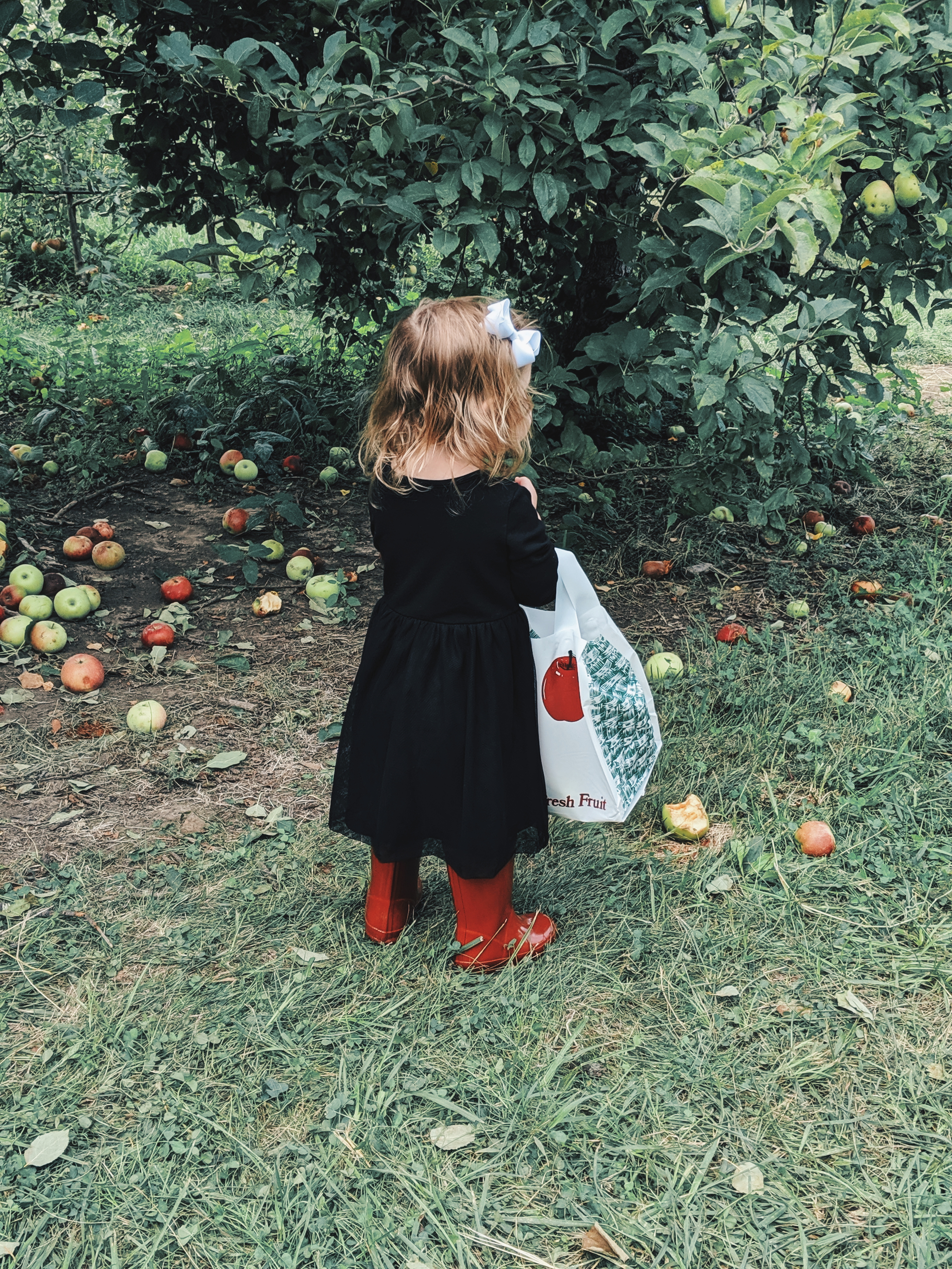 These apple picking photos are too cute! Going apple picking is one of our favorite fall family activities! Here's our apple picking outfits and our experience with apple picking Kansas City at Cider Hill Family Orchard! A great family activity in Kansas City! #applepicking #fallactivities #fall2019 