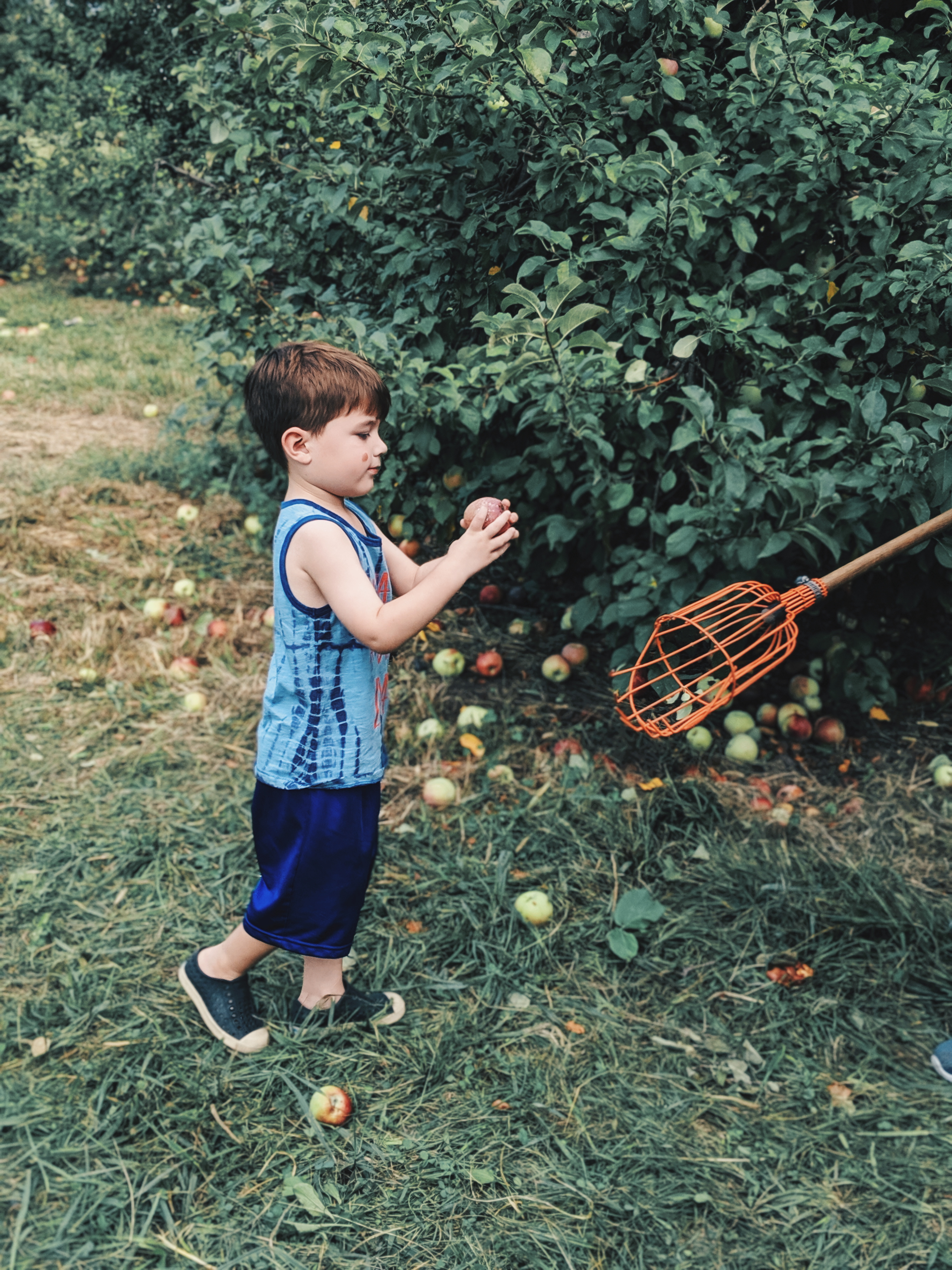 These apple picking photos are too cute! Going apple picking is one of our favorite fall family activities! Here's our apple picking outfits and our experience with apple picking Kansas City at Cider Hill Family Orchard! A great family activity in Kansas City! #applepicking #fallactivities #fall2019 