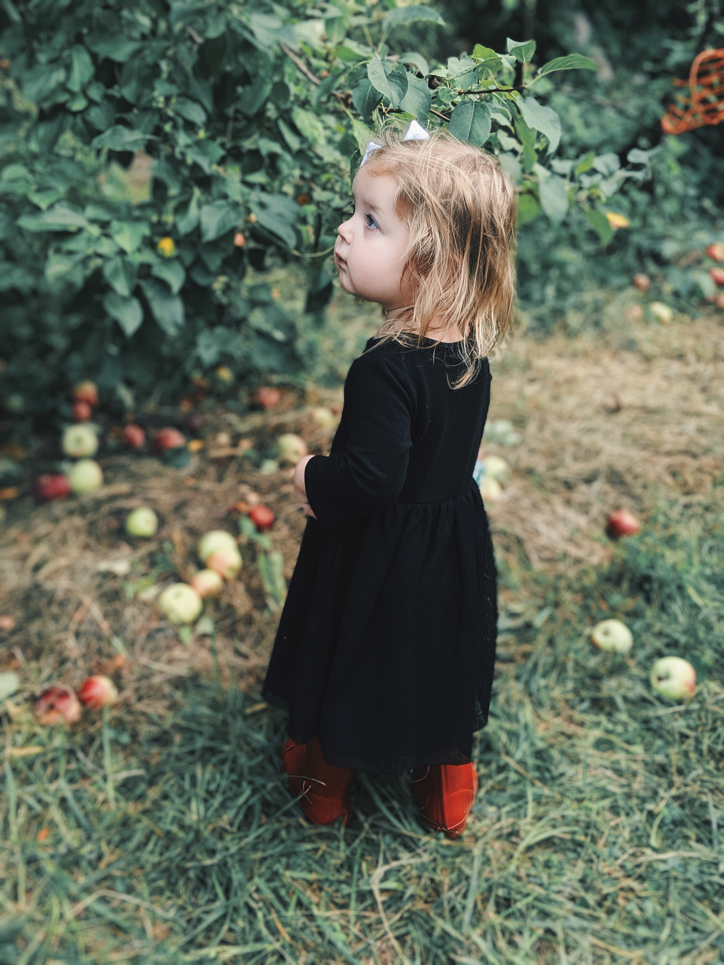 These apple picking photos are too cute! Going apple picking is one of our favorite fall family activities! Here's our apple picking outfits and our experience with apple picking Kansas City at Cider Hill Family Orchard! A great family activity in Kansas City! #applepicking #fallactivities #fall2019 