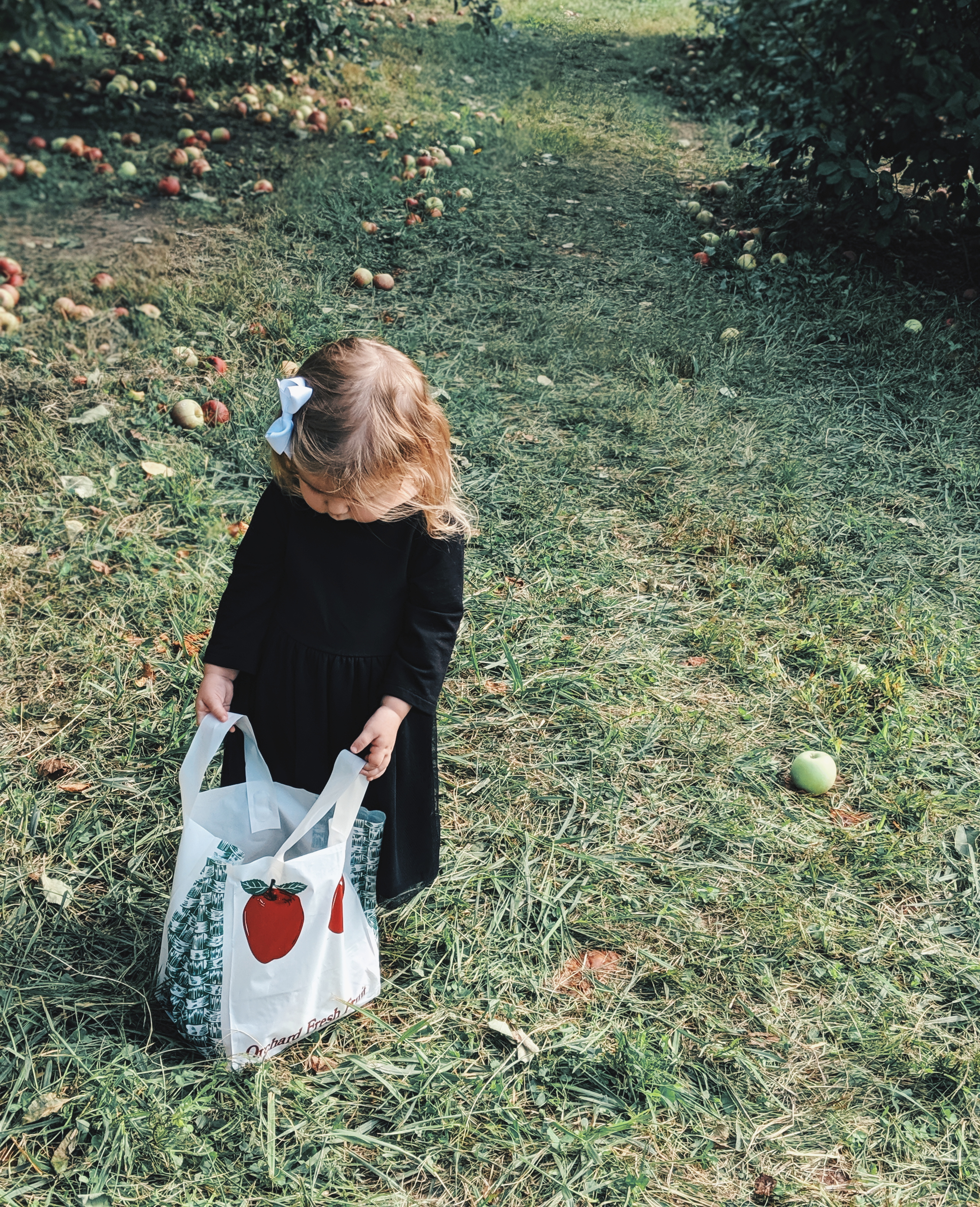 These apple picking photos are too cute! Going apple picking is one of our favorite fall family activities! Here's our apple picking outfits and our experience with apple picking Kansas City at Cider Hill Family Orchard! A great family activity in Kansas City! #applepicking #fallactivities #fall2019 