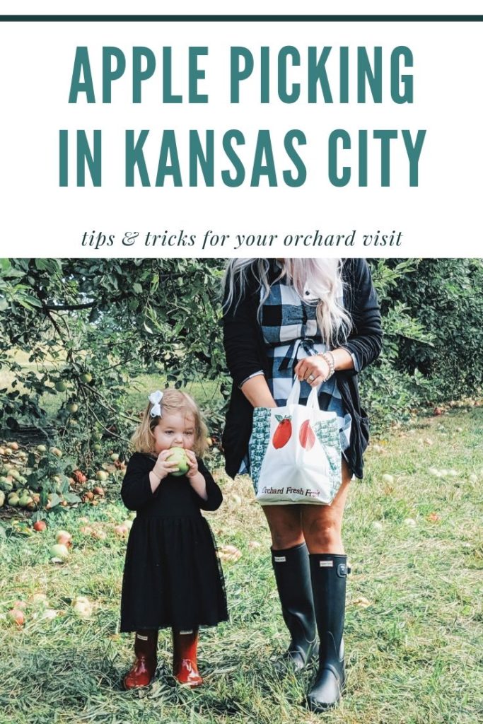 These apple picking photos are too cute! Going apple picking is one of our favorite fall family activities! Here's our apple picking outfits and our experience with apple picking Kansas City at Cider Hill Family Orchard! A great family activity in Kansas City! #applepicking #fallactivities #fall2019