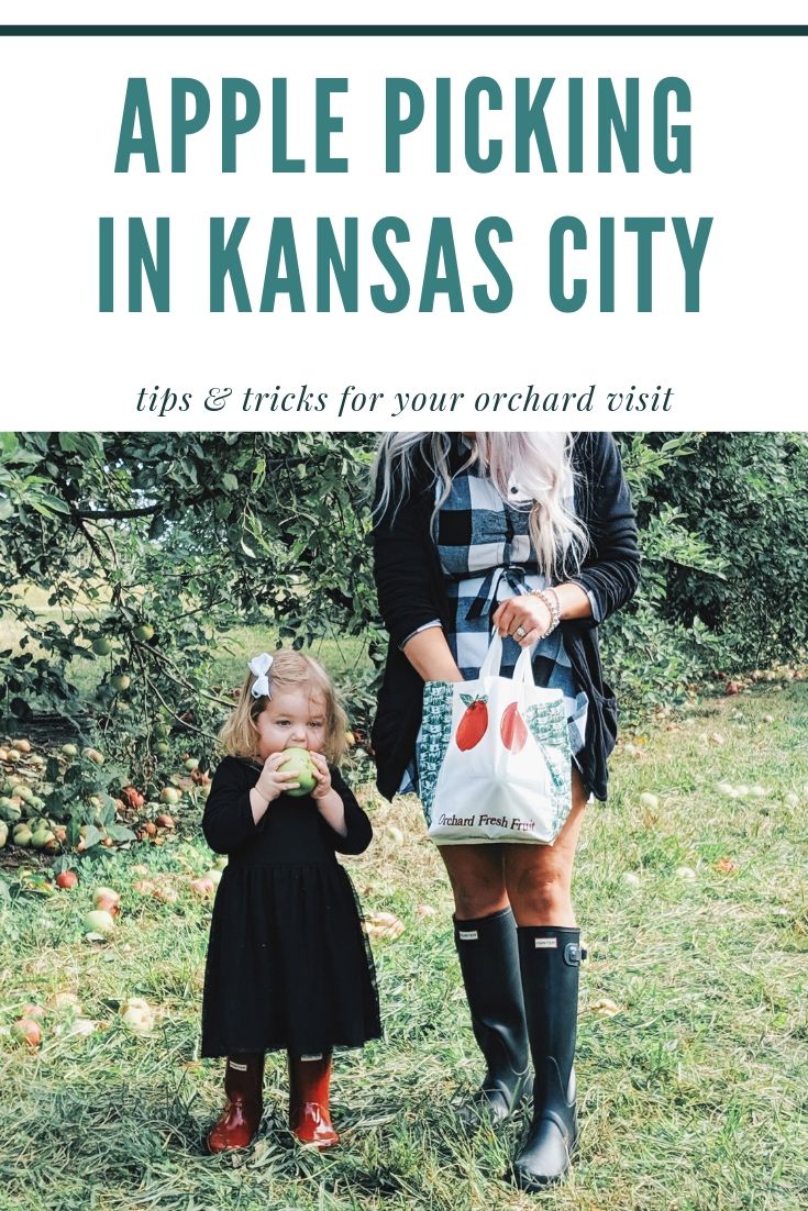 These apple picking photos are too cute! Going apple picking is one of our favorite fall family activities! Here's our apple picking outfits and our experience with apple picking Kansas City at Cider Hill Family Orchard! A great family activity in Kansas City! #applepicking #fallactivities #fall2019 