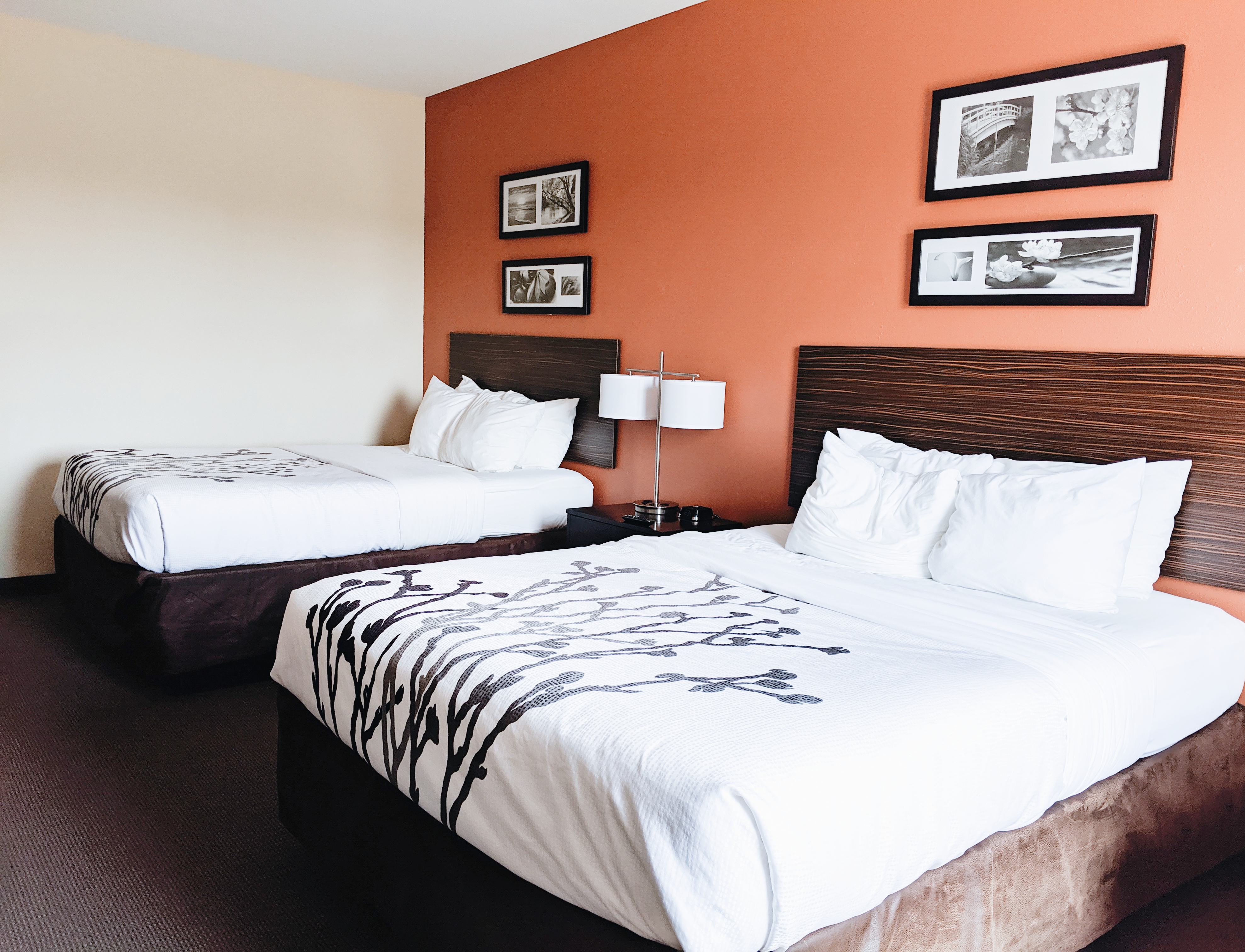 Sleep Inn Dyersburg TN Review - Dyersburg TN Hotels: Detailed Sleep Inn Dyersburg TN reviews with 15 photos and updated information as of fall 2019. Find out why Sleep Inn is one of the best hotels in Dyersburg, TN in this Dyersburg TN Travel Guide. (ad) #madeintn #dyersburg #dyersburgtn #tennessee 