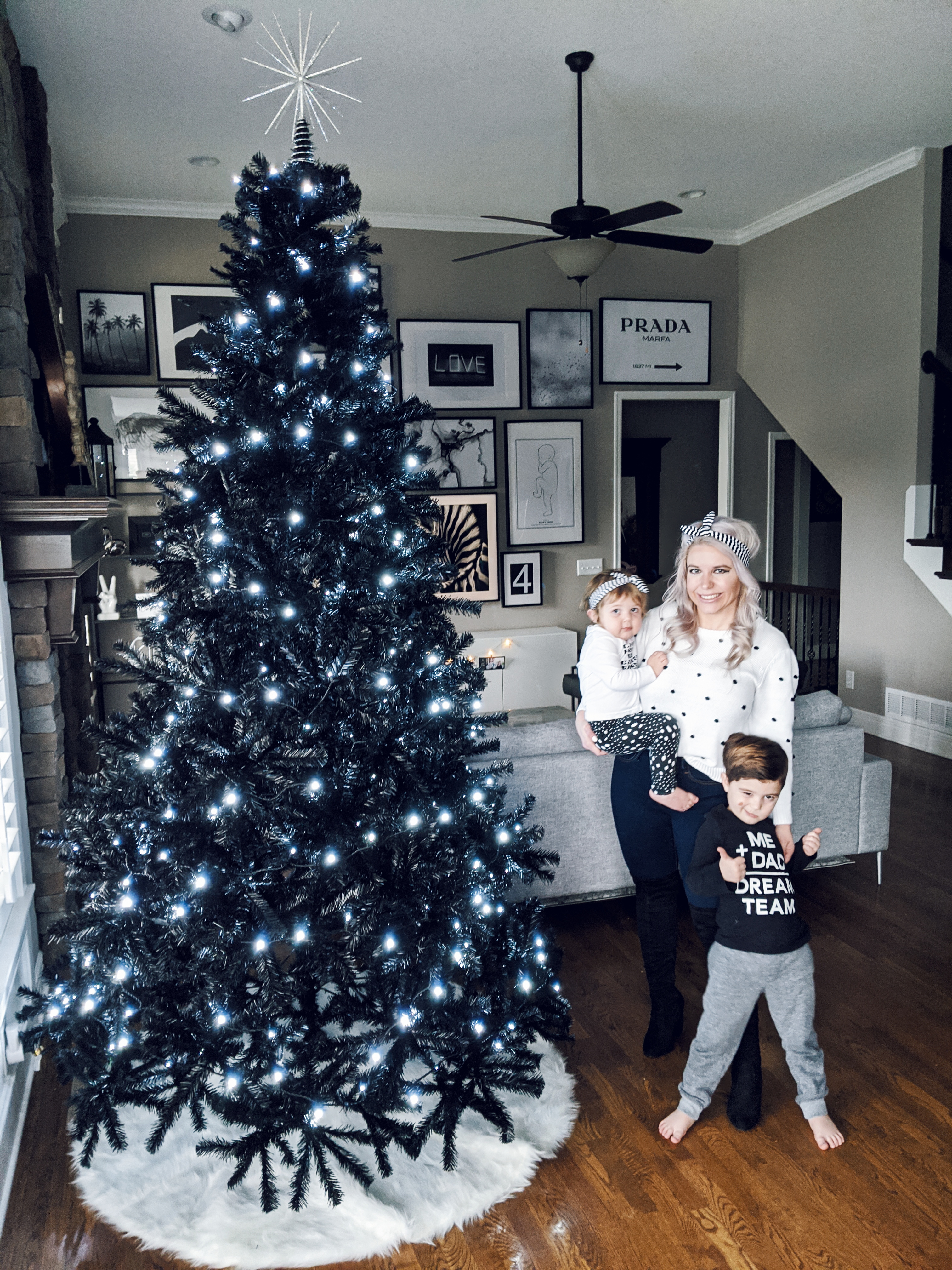 Black Christmas Tree - Modern Christmas Decor: A black Christmas tree is sophisticated, stylish, and unexpected. See how to decorate a black Christmas tree for modern Christmas decor! (Sponsored by Wayfair). #modernhome #christmasdecor #christmastree