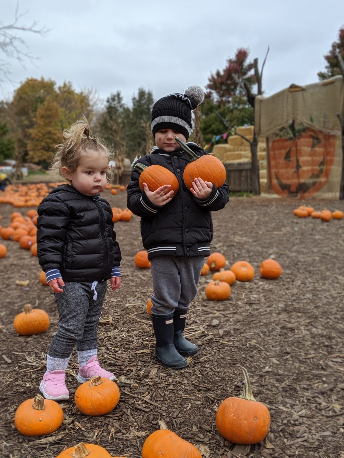 Top 5 Fall Activities in Kansas - Unique Fall Festivals in Kansas ...